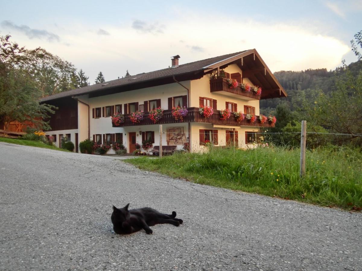Weberhof Apartamento Samerberg Exterior foto